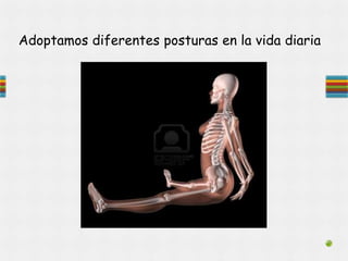 Adoptamos diferentes posturas en la vida diaria
 