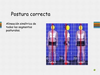 Postura correcta
Alineación simétrica de
todos los segmentos
posturales.
 