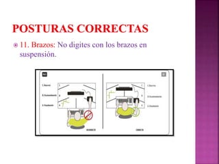  11. Brazos: No digites con los brazos en
suspensión.
 