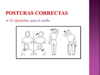  13. ejercicios: para el cuello
 