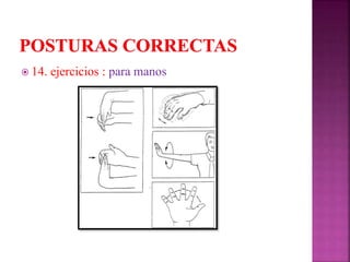 14. ejercicios : para manos
 