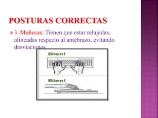  3. Muñecas: Tienen que estar relajadas,
alineadas respecto al antebrazo, evitando
desviaciones.
 