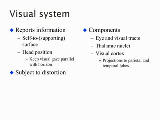  Reports information
– Self-to-(supporting)
surface
– Head position
» Keep visual gaze parallel
with horizon
 Subject to distortion
 Components
– Eye and visual tracts
– Thalamic nuclei
– Visual cortex
» Projections to parietal and
temporal lobes
 
