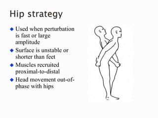  Used when perturbation
is fast or large
amplitude
 Surface is unstable or
shorter than feet
 Muscles recruited
proximal-to-distal
 Head movement out-of-
phase with hips
 