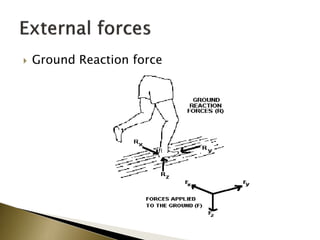  Ground Reaction force
 
