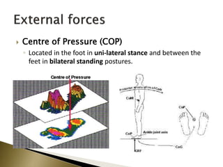  Centre of Pressure (COP)
◦ Located in the foot in uni-lateral stance and between the
feet in bilateral standing postures.
 