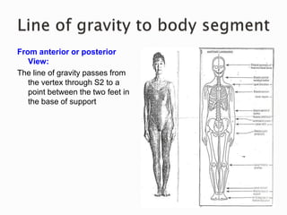 From anterior or posterior
View:
The line of gravity passes from
the vertex through S2 to a
point between the two feet in
the base of support
 
