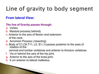 From lateral View:
The line of Gravity passes through:
a. Vertex.
b. Mastoid process( behind).
c. Anterior to the axis of flexion and extension
of the neck.
d. Acromion Process ( bisecting)
e. Body of C1,C6,T11, L5, S1 ( it passes posterior to the axes of
rotation of the
cervical and lumbar vertebrae and anterior to thoracic vertebrae.
f. Via or behind the axis of the hip joint.
g. Anterior to the axis of the knee joint.
h. 5 cm anterior to lateral malleolus.
 