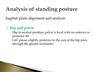 Sagittal plane alignment and analysis
 Hip and pelvis
◦ Hip in neutral position, pelvis is level with no anterior or
posterior tilt
◦ LoG passes slightly posterior to the axis of the hip joint,
through the greater trochanter
 