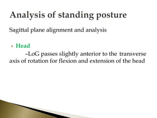 Sagittal plane alignment and analysis
 Head
–LoG passes slightly anterior to the transverse
axis of rotation for flexion and extension of the head
 