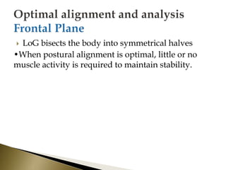  LoG bisects the body into symmetrical halves
•When postural alignment is optimal, little or no
muscle activity is required to maintain stability.
 