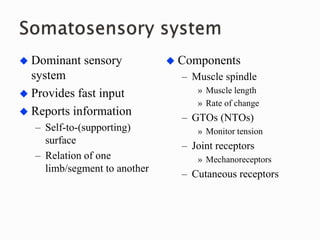  Dominant sensory
system
 Provides fast input
 Reports information
– Self-to-(supporting)
surface
– Relation of one
limb/segment to another
 Components
– Muscle spindle
» Muscle length
» Rate of change
– GTOs (NTOs)
» Monitor tension
– Joint receptors
» Mechanoreceptors
– Cutaneous receptors
 
