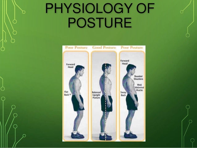 types of postures