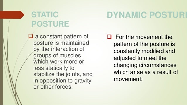 Posture Physical Therapy Vnsgu