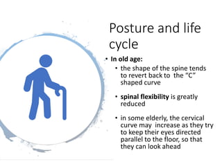 Posture and life
cycle
• In old age:
• the shape of the spine tends
to revert back to the “C”
shaped curve
• spinal flexibility is greatly
reduced
• in some elderly, the cervical
curve may increase as they try
to keep their eyes directed
parallel to the floor, so that
they can look ahead
 