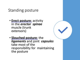 Standing posture
• Erect posture: activity
in the erector spinae
muscle (trunk
extensors)
• Slouched posture: the
ligaments and joint capsules
take most of the
responsibility for maintaining
the posture
 