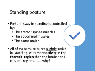 Standing posture
• Postural sway in standing is controlled
by:
• The erector spinae muscles
• The abdominal muscles
• The psoas major
• All of these muscles are slightly active
in standing, with more activity in the
thoracic region than the lumbar and
cervical regions……….why?
 