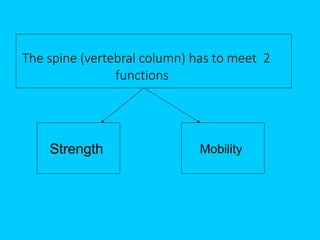 The spine (vertebral column) has to meet 2
functions
Strength Mobility
 