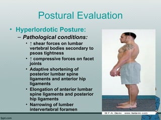 Postural Evaluation
• Hyperlordotic Posture:
– Pathological conditions:
• ↑ shear forces on lumbar
vertebral bodies secondary to
psoas tightness
• ↑ compressive forces on facet
joints
• Adaptive shortening of
posterior lumbar spine
ligaments and anterior hip
ligaments
• Elongation of anterior lumbar
spine ligaments and posterior
hip ligaments
• Narrowing of lumber
intervertebral foramen
 