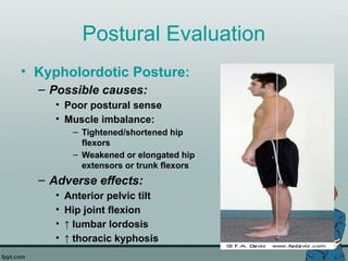 Postural Evaluation
• Kypholordotic Posture:
– Possible causes:
• Poor postural sense
• Muscle imbalance:
– Tightened/shortened hip
flexors
– Weakened or elongated hip
extensors or trunk flexors
– Adverse effects:
• Anterior pelvic tilt
• Hip joint flexion
• ↑ lumbar lordosis
• ↑ thoracic kyphosis
 