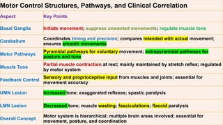 physiology behind maintenance of normal human posture | PPTX