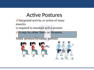 Posture of the upright human body postion | PPT