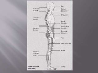 POSTURE - ANURAG MPT 1ST YEAR.pptx........ | PPTX