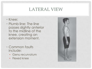 Posture Analysis Guide