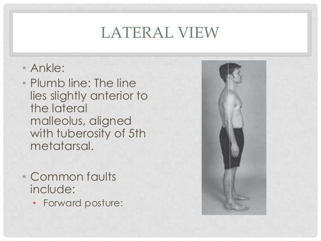 Posture analysis