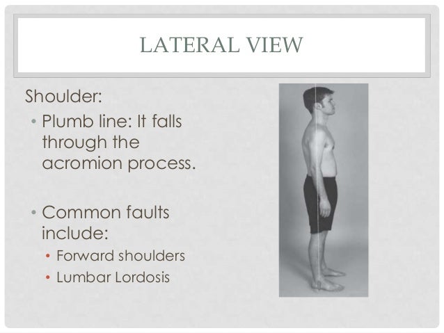 Posture analysis