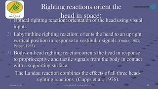 Righting reactions orient the
head in space:
1) Optical righting reaction: orientation of the head using visual
inputs
2) Labyrinthine righting reaction: orients the head to an upright
vertical position in response to vestibular signals (Ornitz, 1983;
Peiper, 1963)
3) Body-on-head righting reaction:orients the head in response
to proprioceptive and tactile signals from the body in contact
with a supporting surface.
The Landau reaction combines the effects of all three head-
righting reactions (Cupps et al., 1976).
13‫دکتر‬‫ابراهیم‬‫پیشیاره‬ ‫ادراکی‬ ‫رویکرد‬-‫مغزی‬ ‫فلج‬ ‫کودکان‬ ‫در‬ ‫حرکتی‬
 