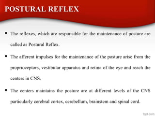 POSTURAL REFLEX
 The reflexes, which are responsible for the maintenance of posture are
called as Postural Reflex.
 The afferent impulses for the maintenance of the posture arise from the
proprioceptors, vestibular apparatus and retina of the eye and reach the
centers in CNS.
 The centers maintains the posture are at different levels of the CNS
particularly cerebral cortex, cerebellum, brainstem and spinal cord.
 