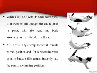  When a cat, held with its back downward,
is allowed to fall through the air, it lands
its paws, with the head and body
assuming normal attitude in a flash.
 A fish resist any attempt to turn it from its
normal position and if it is placed in water
upon its back, it flips almost instantly into
the normal swimming position.
 