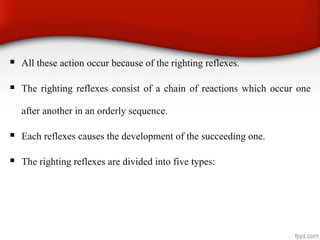  All these action occur because of the righting reflexes.
 The righting reflexes consist of a chain of reactions which occur one
after another in an orderly sequence.
 Each reflexes causes the development of the succeeding one.
 The righting reflexes are divided into five types:
 