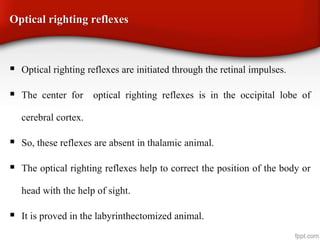Optical righting reflexes
 Optical righting reflexes are initiated through the retinal impulses.
 The center for optical righting reflexes is in the occipital lobe of
cerebral cortex.
 So, these reflexes are absent in thalamic animal.
 The optical righting reflexes help to correct the position of the body or
head with the help of sight.
 It is proved in the labyrinthectomized animal.
 