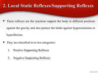 2. Local Static Reflexes/Supporting Reflexes
 These reflexes are the reactions support the body in different positions
against the gravity and also protect the limbs against hyperextension or
hyperflexion.
 They are classified in to two categories:
1. Positive Supporting Reflexes
2. Negative Supporting Reflexes
 