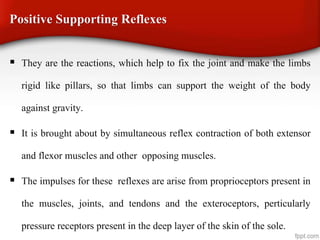 Positive Supporting Reflexes
 They are the reactions, which help to fix the joint and make the limbs
rigid like pillars, so that limbs can support the weight of the body
against gravity.
 It is brought about by simultaneous reflex contraction of both extensor
and flexor muscles and other opposing muscles.
 The impulses for these reflexes are arise from proprioceptors present in
the muscles, joints, and tendons and the exteroceptors, perticularly
pressure receptors present in the deep layer of the skin of the sole.
 