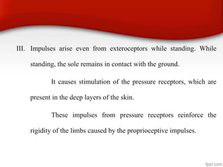 III. Impulses arise even from exteroceptors while standing. While
standing, the sole remains in contact with the ground.
It causes stimulation of the pressure receptors, which are
present in the deep layers of the skin.
These impulses from pressure receptors reinforce the
rigidity of the limbs caused by the proprioceptive impulses.
 