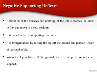 Negative Supporting Reflexes
 Relaxation of the muscles and unfixing of the joints enables the limbs
to flex and move to a new position.
 It is called negative supporting reactions.
 It is brought about by raising the leg off the ground and plantar flexion
of toes and ankle.
 When the leg is lifted off the ground, the exteroceptive impulses are
stopped.
 