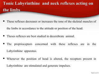 Tonic Labyrinthine and neck reflexes acting on
the limbs
 These reflexes decreases or increases the tone of the skeletal muscles of
the limbs in accordance to the attitude or position of the head.
 Theses reflexes are best studied in decerebrate animal.
 The proprioceptors concerned with these reflexes are in the
Labyrinthine apparatus.
 Whenever the position of head is altered, the receptors present in
Labyrinthine are stimulated and generate impulses.
 