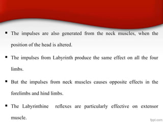  The impulses are also generated from the neck muscles, when the
position of the head is altered.
 The impulses from Labyrinth produce the same effect on all the four
limbs.
 But the impulses from neck muscles causes opposite effects in the
forelimbs and hind limbs.
 The Labyrinthine reflexes are particularly effective on extensor
muscle.
 