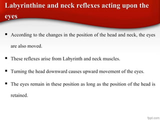 Labyrinthine and neck reflexes acting upon the
eyes
 According to the changes in the position of the head and neck, the eyes
are also moved.
 These reflexes arise from Labyrinth and neck muscles.
 Turning the head downward causes upward movement of the eyes.
 The eyes remain in these position as long as the position of the head is
retained.
 
