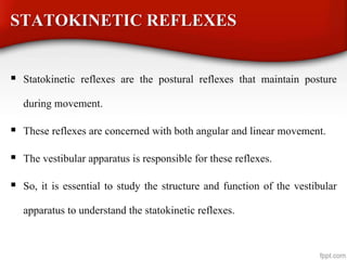 STATOKINETIC REFLEXES
 Statokinetic reflexes are the postural reflexes that maintain posture
during movement.
 These reflexes are concerned with both angular and linear movement.
 The vestibular apparatus is responsible for these reflexes.
 So, it is essential to study the structure and function of the vestibular
apparatus to understand the statokinetic reflexes.
 