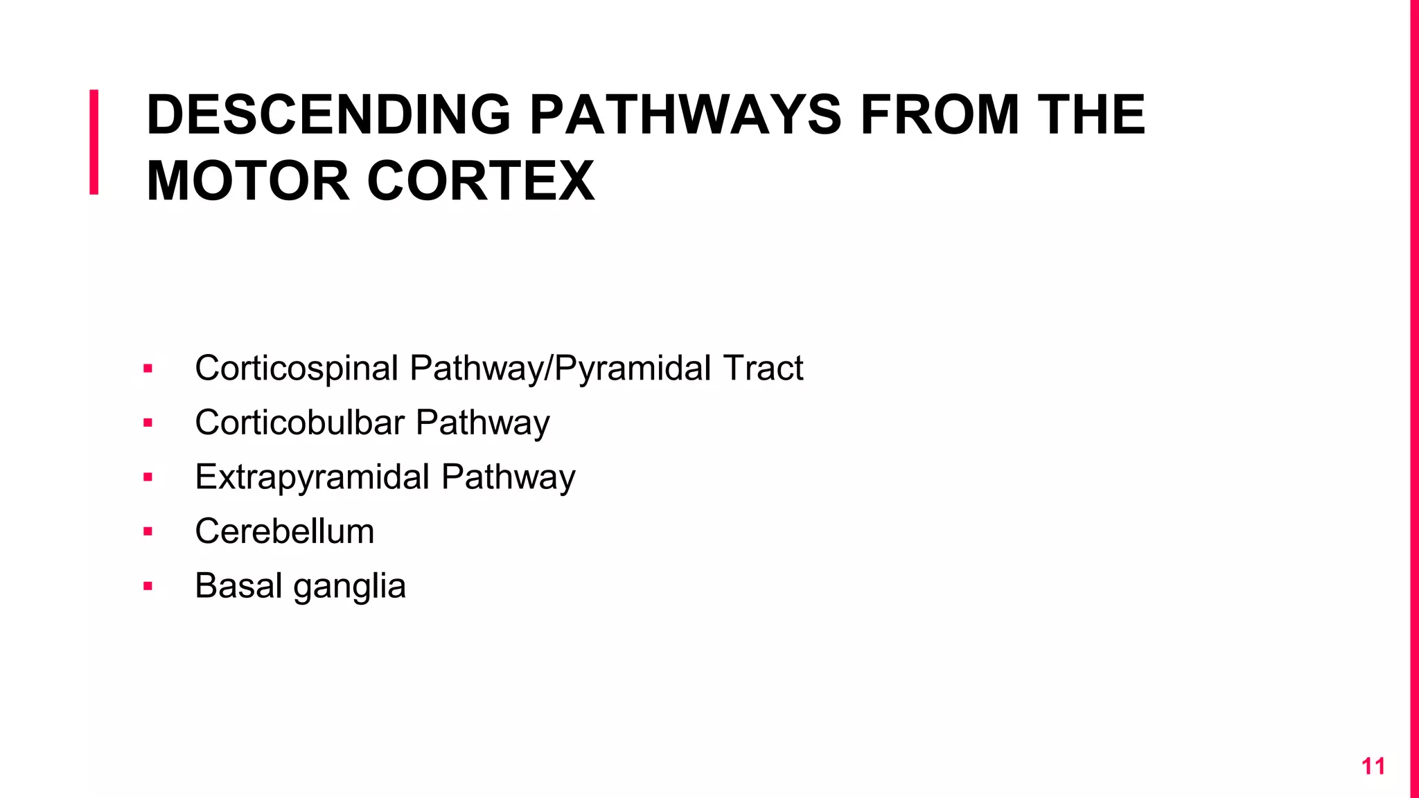 DESCENDING PATHWAYS FROM THE
MOTOR CORTEX
▪ Corticospinal Pathway/Pyramidal Tract
▪ Corticobulbar Pathway
▪ Extrapyramidal Pathway
▪ Cerebellum
▪ Basal ganglia
11
 