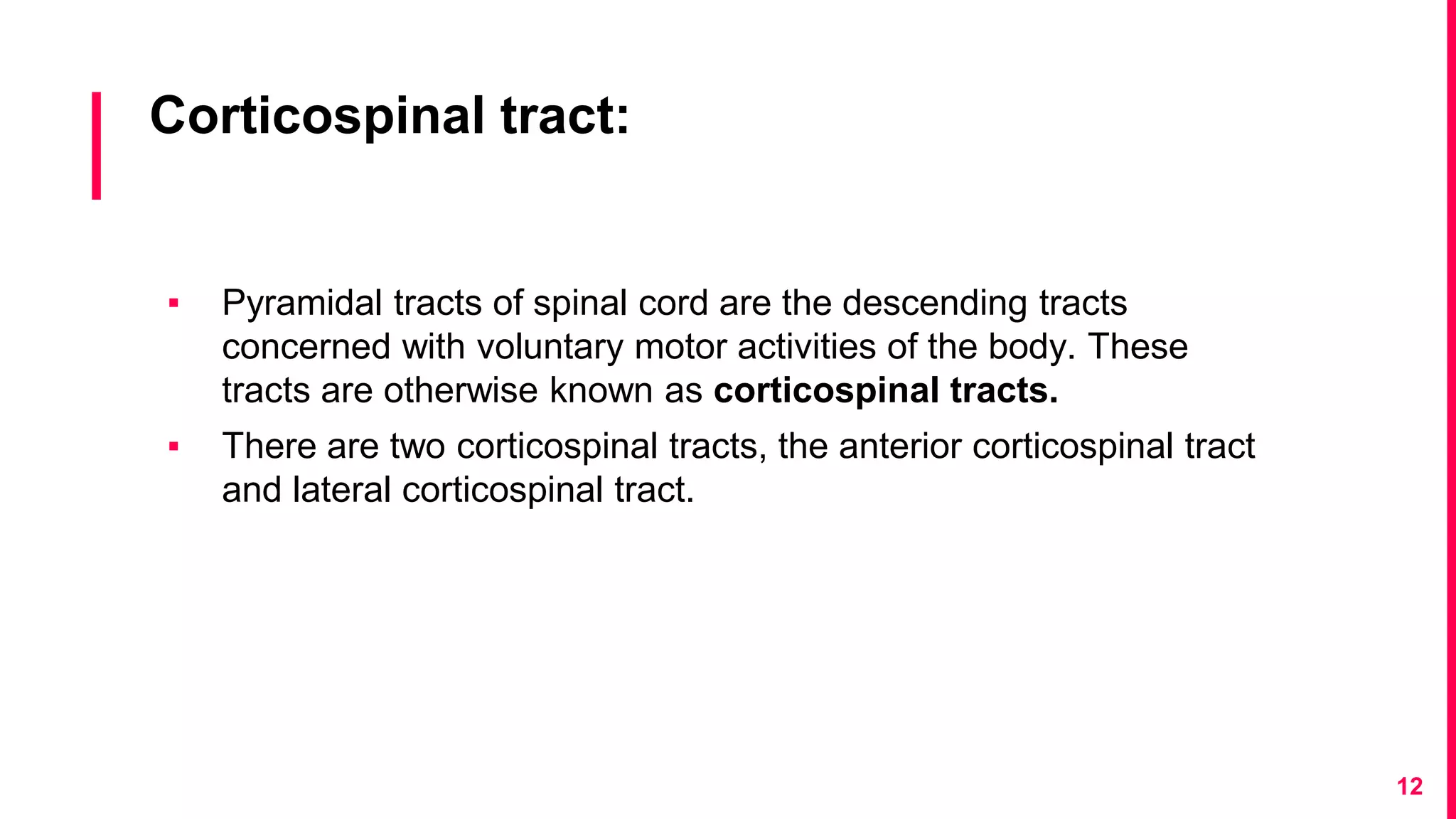 Corticospinal tract:
▪ Pyramidal tracts of spinal cord are the descending tracts
concerned with voluntary motor activities of the body. These
tracts are otherwise known as corticospinal tracts.
▪ There are two corticospinal tracts, the anterior corticospinal tract
and lateral corticospinal tract.
12
 