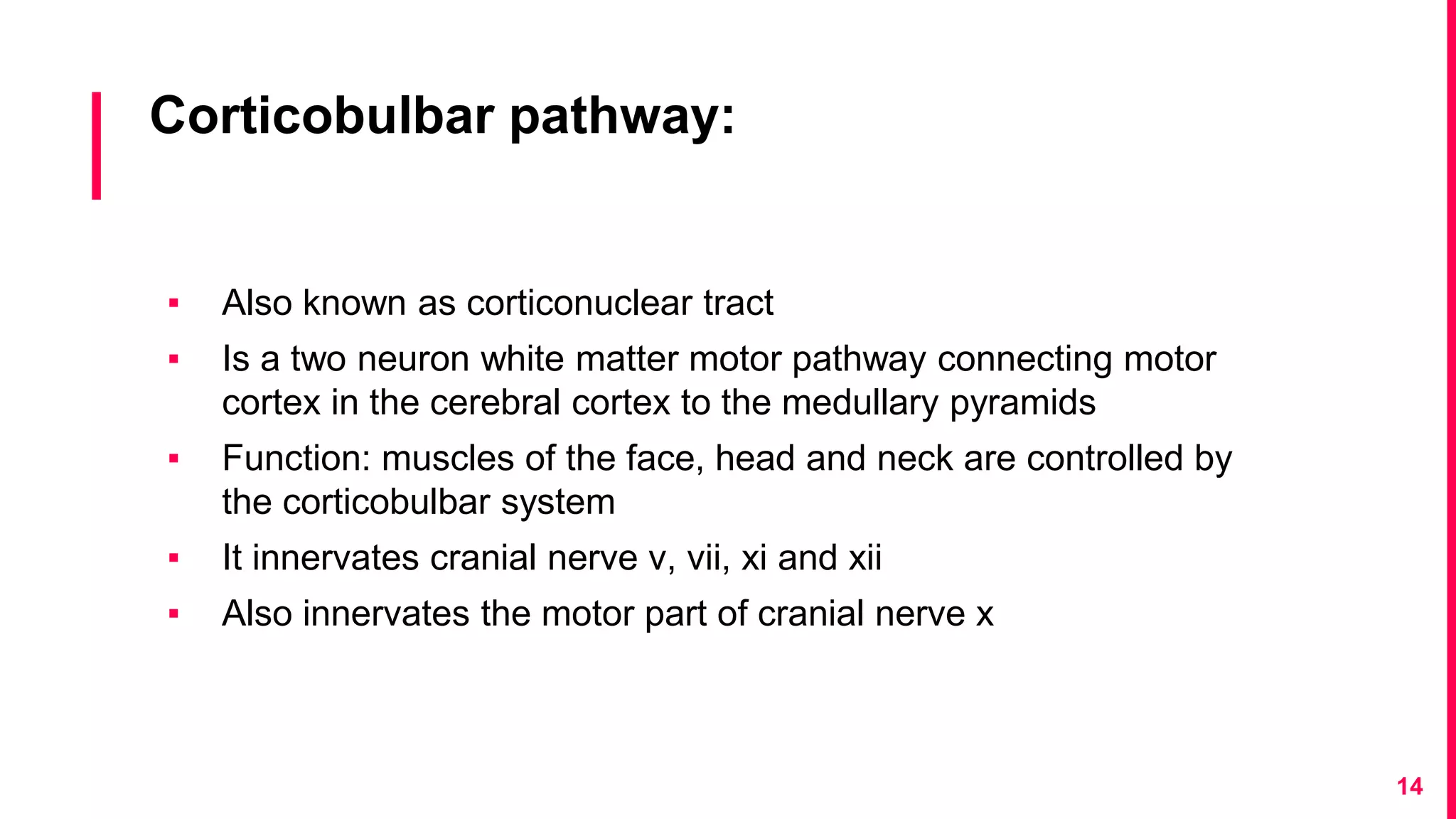 Corticobulbar pathway:
▪ Also known as corticonuclear tract
▪ Is a two neuron white matter motor pathway connecting motor
cortex in the cerebral cortex to the medullary pyramids
▪ Function: muscles of the face, head and neck are controlled by
the corticobulbar system
▪ It innervates cranial nerve v, vii, xi and xii
▪ Also innervates the motor part of cranial nerve x
14
 