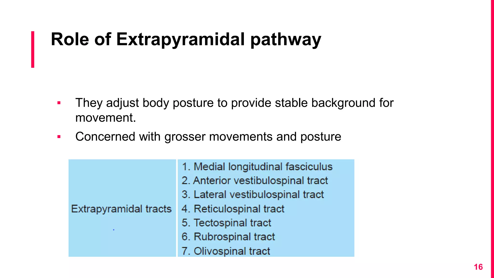 Role of Extrapyramidal pathway
▪ They adjust body posture to provide stable background for
movement.
▪ Concerned with grosser movements and posture
16
 