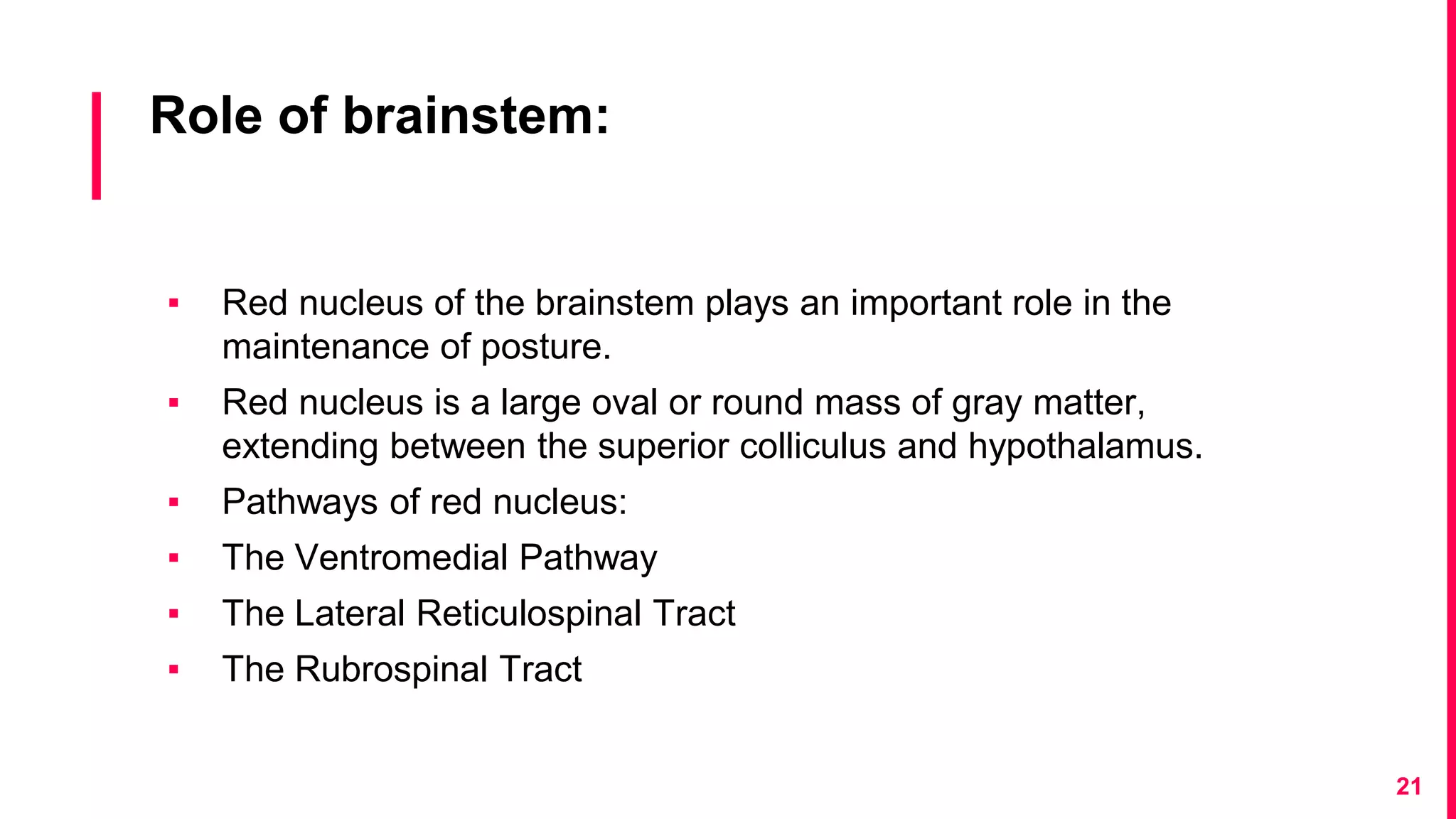 Role of brainstem:
▪ Red nucleus of the brainstem plays an important role in the
maintenance of posture.
▪ Red nucleus is a large oval or round mass of gray matter,
extending between the superior colliculus and hypothalamus.
▪ Pathways of red nucleus:
▪ The Ventromedial Pathway
▪ The Lateral Reticulospinal Tract
▪ The Rubrospinal Tract
21
 
