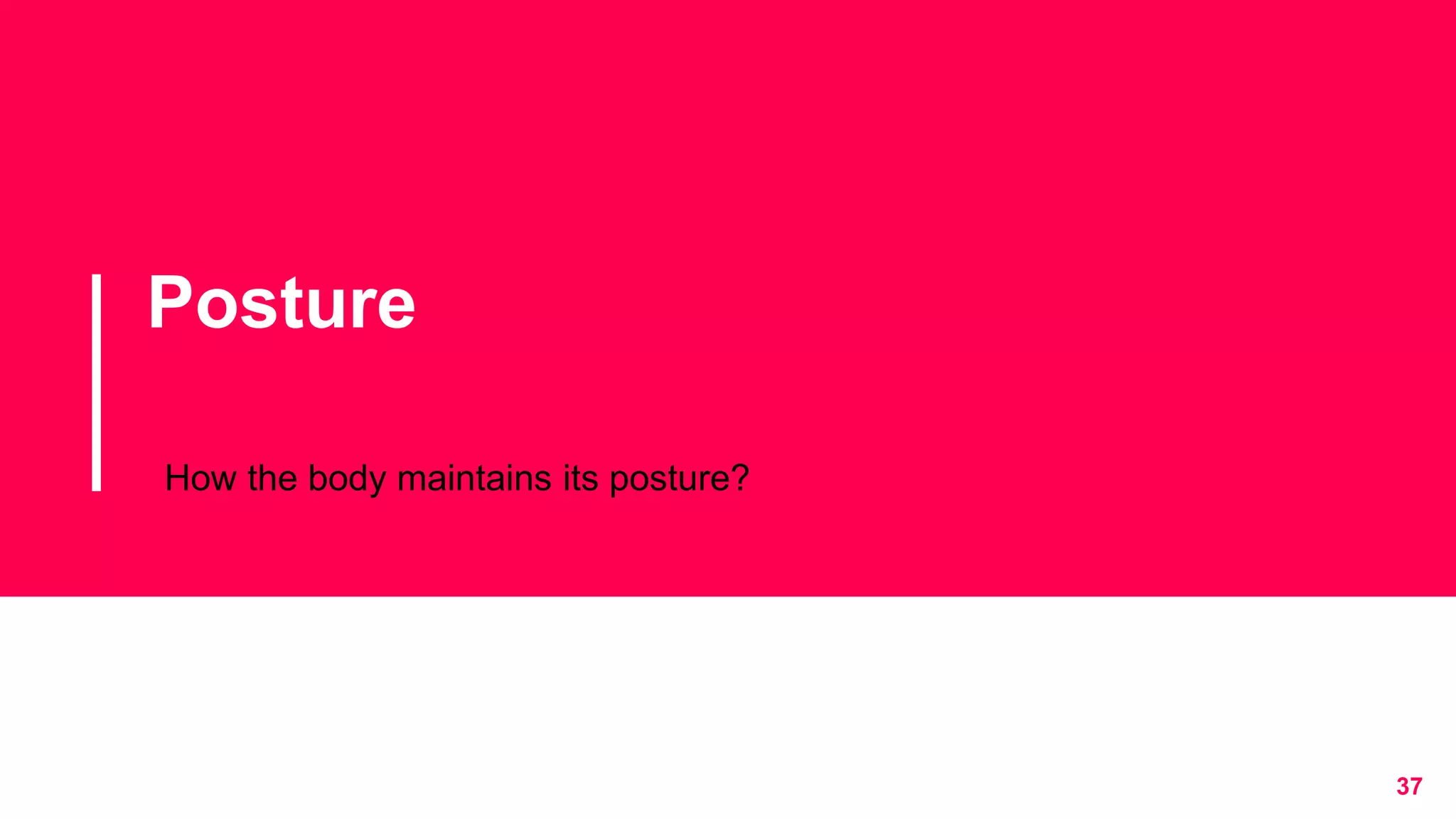 Posture
How the body maintains its posture?
37
 