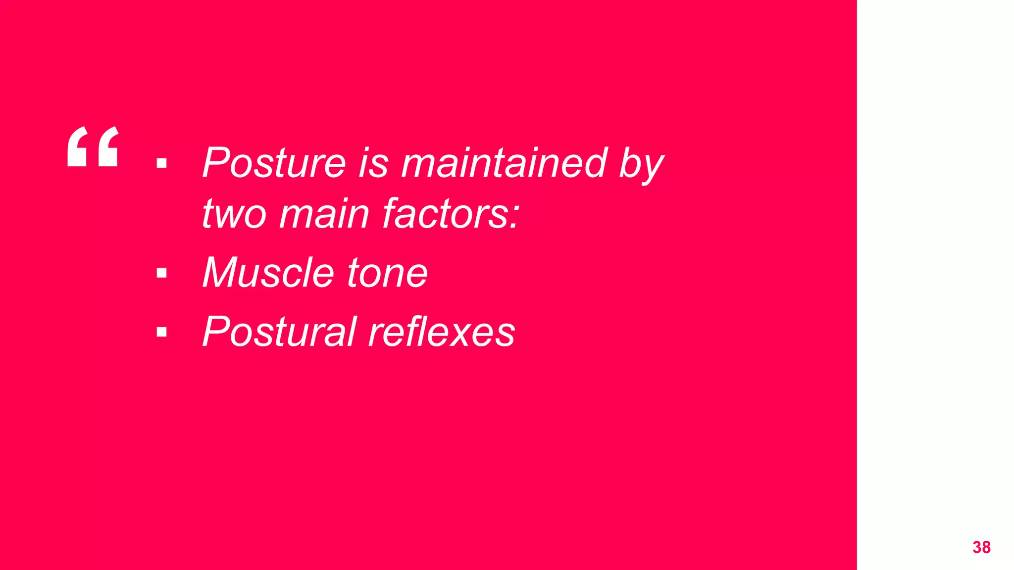 “ ▪ Posture is maintained by
two main factors:
▪ Muscle tone
▪ Postural reflexes
38
 